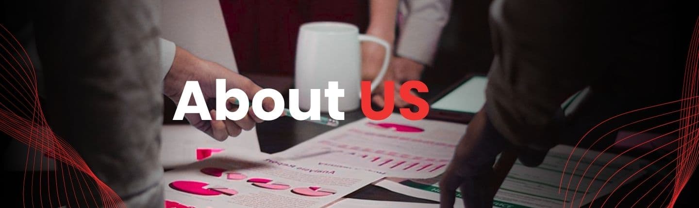 About Us – Digital Vibe Solutions